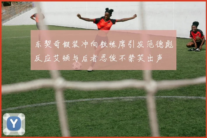 东契奇假装冲向教练席引发范德彪反应艾顿与后者忍俊不禁笑出声