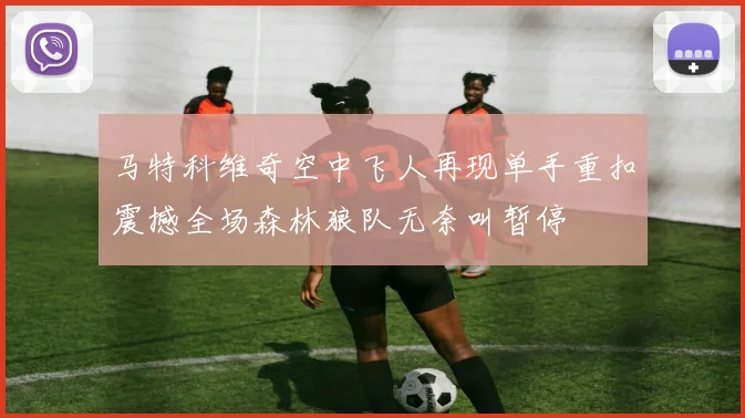 马特科维奇空中飞人再现单手重扣震撼全场森林狼队无奈叫暂停