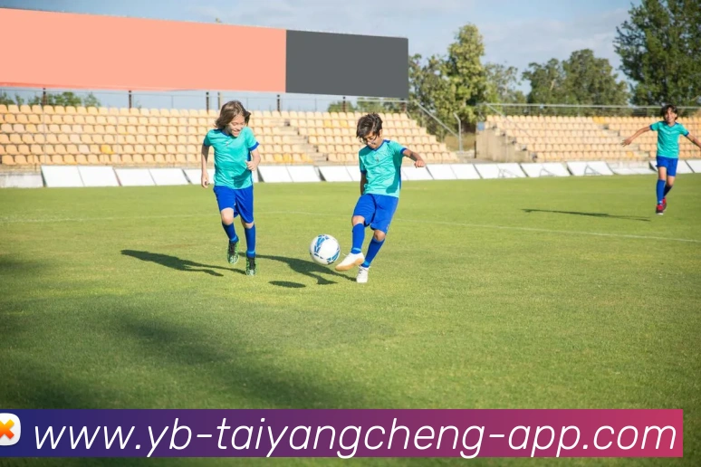 太阳城发展历程